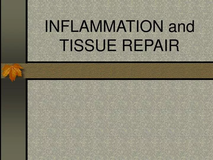 inflammation and tissue repair
