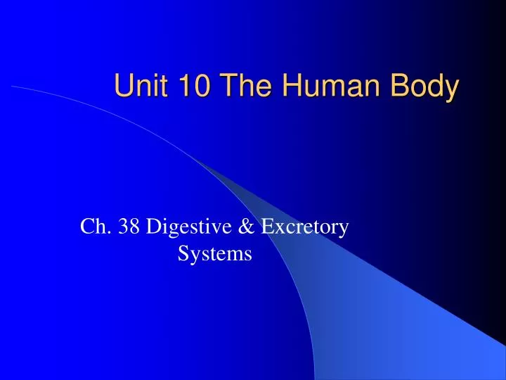 unit 10 the human body