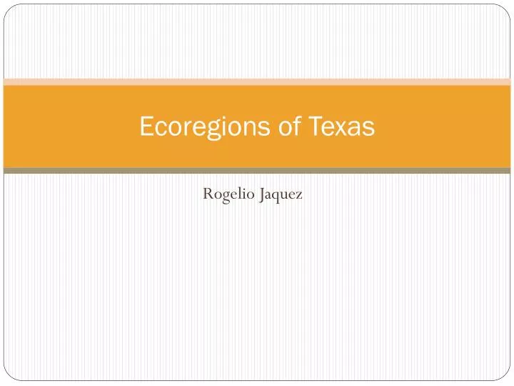 ecoregions of texas