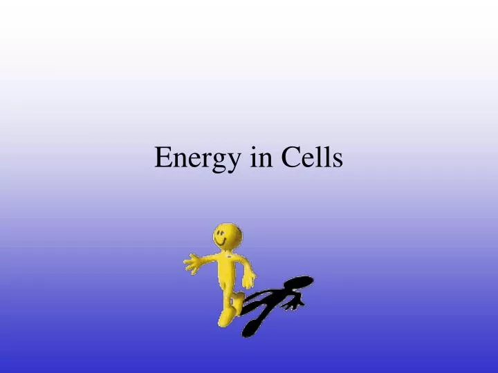energy in cells