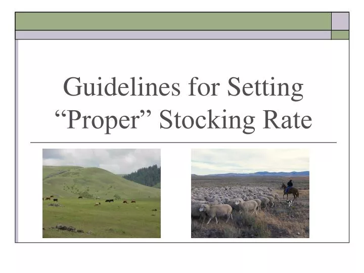 guidelines for setting proper stocking rate