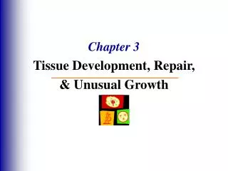Chapter 3 Tissue Development, Repair, &amp; Unusual Growth