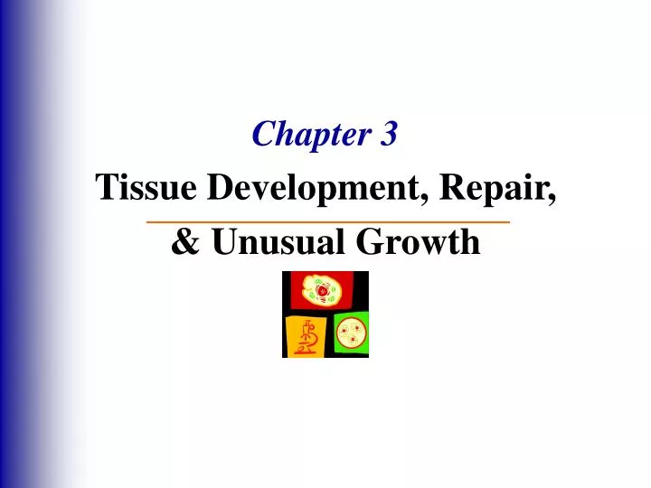 chapter 3 tissue development repair unusual growth