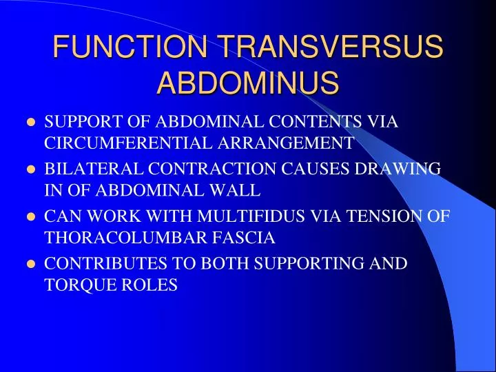 function transversus abdominus
