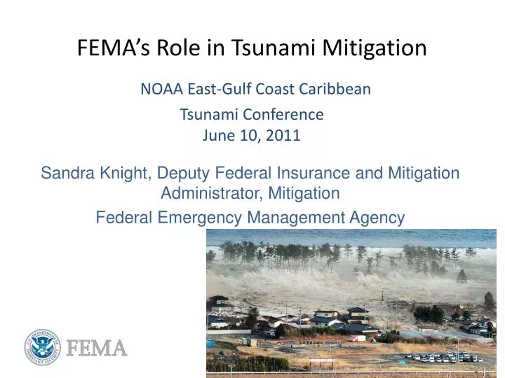 fema s role in tsunami mitigation noaa east gulf coast caribbean tsunami conference june 10 2011
