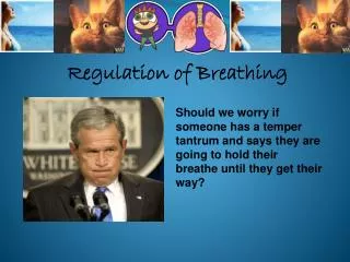 Regulation of Breathing