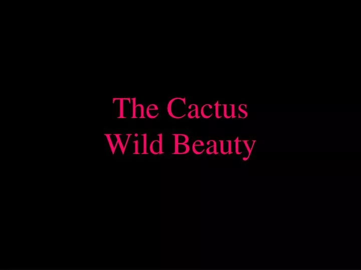 the cactus wild beauty