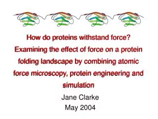 Jane Clarke May 2004