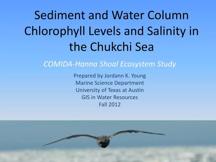 sediment and water column chlorophyll levels and salinity in the chukchi sea