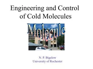 Engineering and Control of Cold Molecules