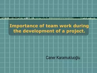 importance of team work during the development of a project