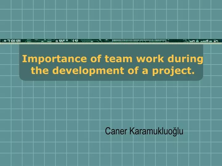 importance of team work during the development of a project