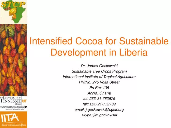 intensified cocoa for sustainable development in liberia