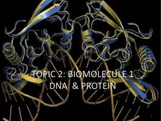 TOPIC 2: BIOMOLECULE 1 DNA &amp; PROTEIN