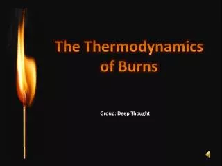 The Thermodynamics o f Burns