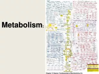 Metabolism :