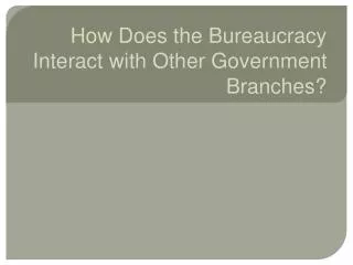 How Does the Bureaucracy Interact with Other Government Branches?
