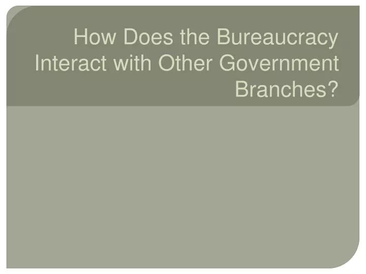 how does the bureaucracy interact with other government branches