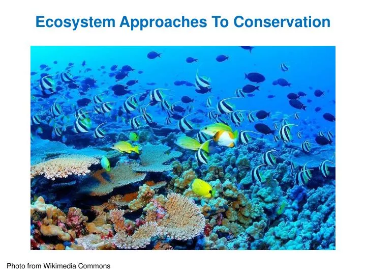 ecosystem approaches to conservation