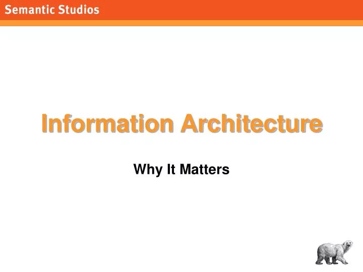 information architecture