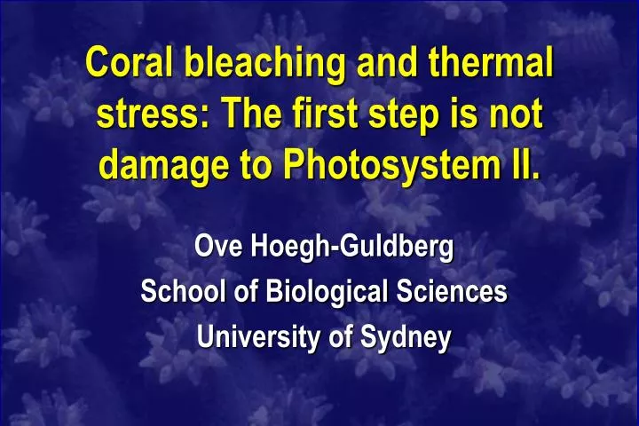 coral bleaching and thermal stress the first step is not damage to photosystem ii