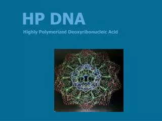 HP DNA