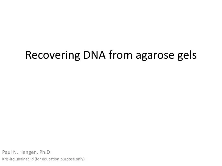 recovering dna from agarose gels