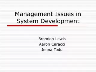 Management Issues in System Development