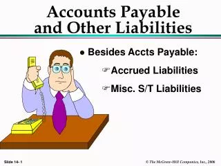 Accounts Payable and Other Liabilities