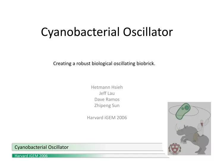cyanobacterial oscillator