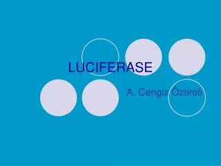 LUCIFERASE