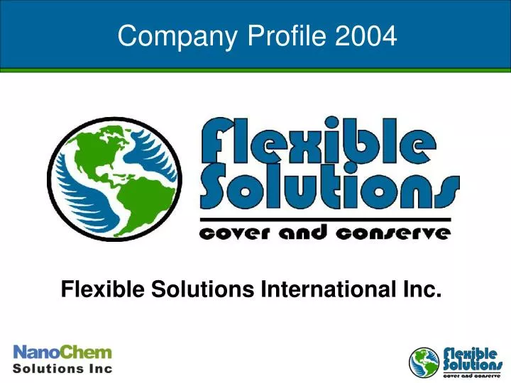 company profile 2004