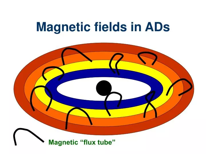 magnetic fields in ads