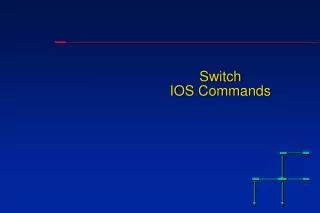Switch IOS Commands