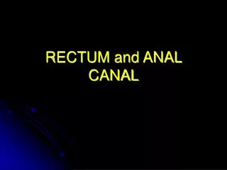 RECTUM and ANAL CANAL