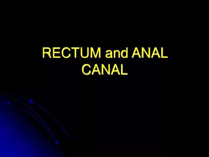 rectum and anal canal