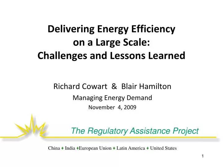 delivering energy efficiency on a large scale challenges and lessons learned