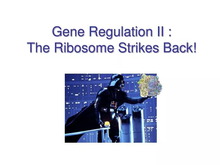 gene regulation ii the ribosome strikes back