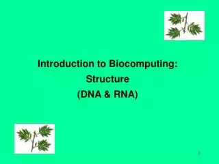 Introduction to Biocomputing: Structure (DNA &amp; RNA)