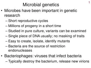 Microbial genetics