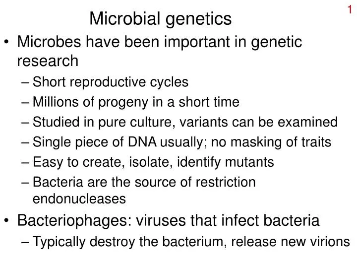 microbial genetics