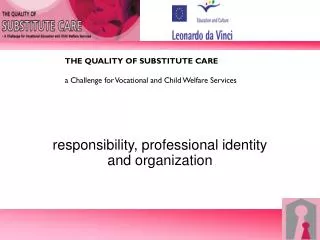 responsibility, professional identity and organization