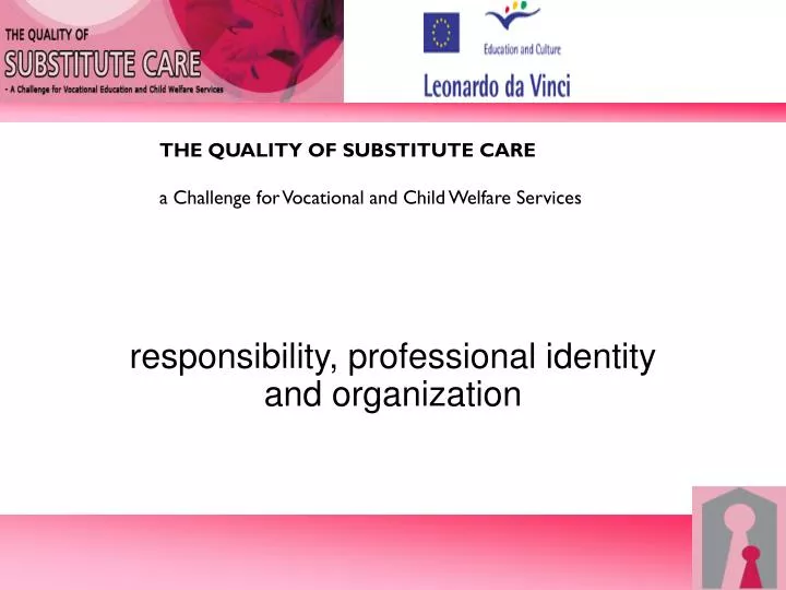 responsibility professional identity and organization