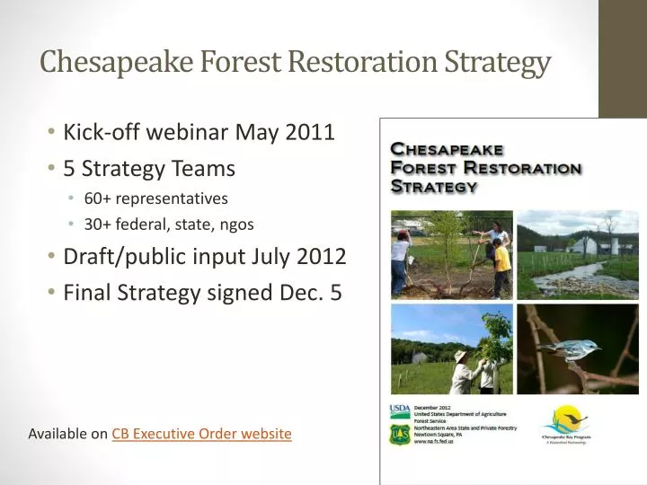 chesapeake forest restoration strategy