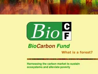 Bio Carbon Fund