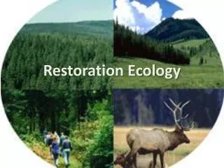 Restoration Ecology