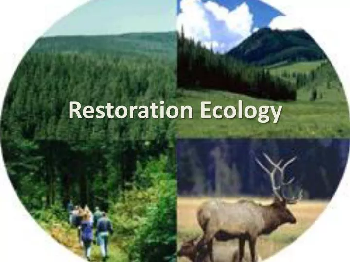 restoration ecology