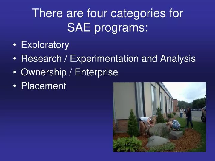 there are four categories for sae programs