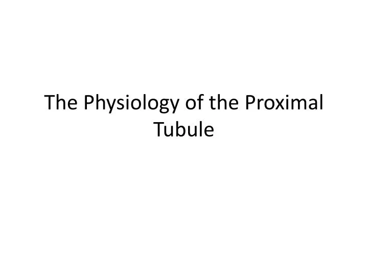 the physiology of the proximal tubule