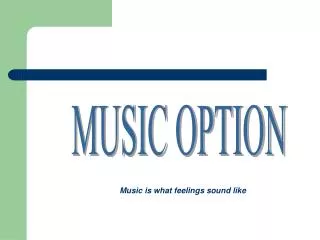 MUSIC OPTION